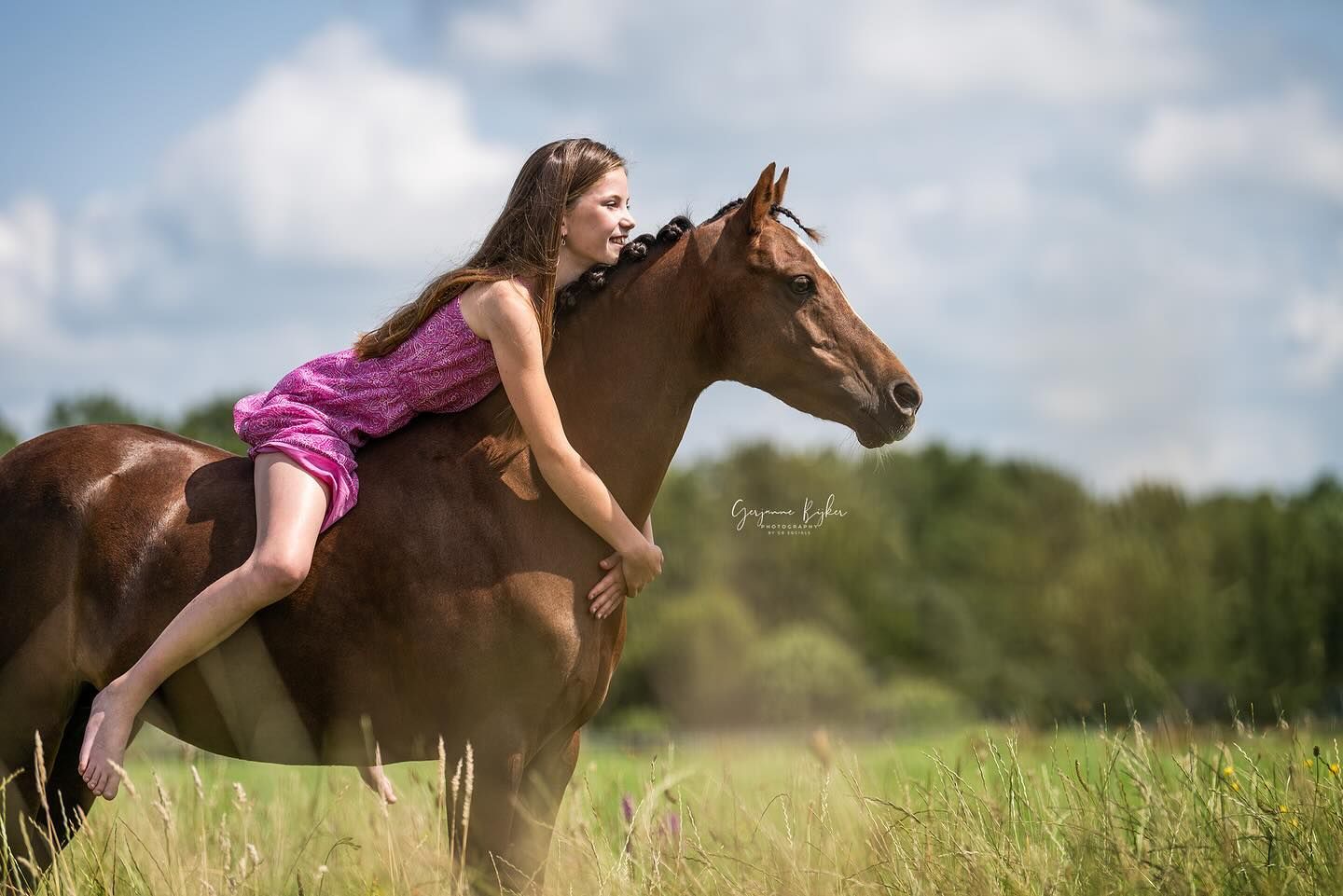 Blog van Equi Match Agency | 5 tips voor het vinden van jouw droompaard of droompony