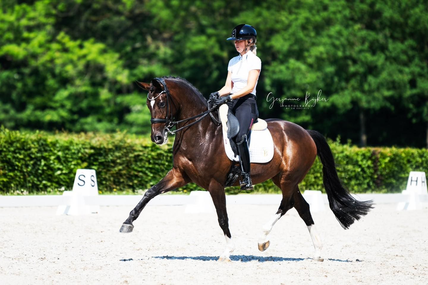 Blog van Equi Match Agency | Trends in de paardensector: Wat betekent dit voor kopers en verkopers?