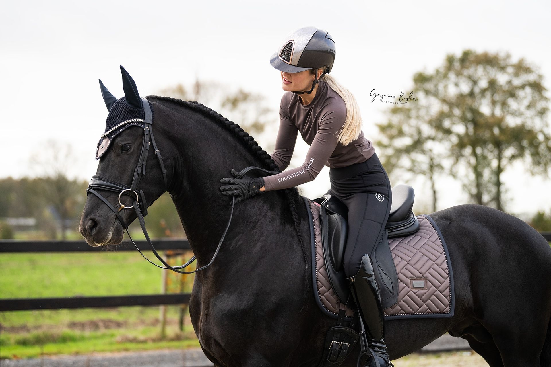 Afbeelding van Equi Match Agency | verkoop- en aankoopbemiddeling, marketing, paard, pony