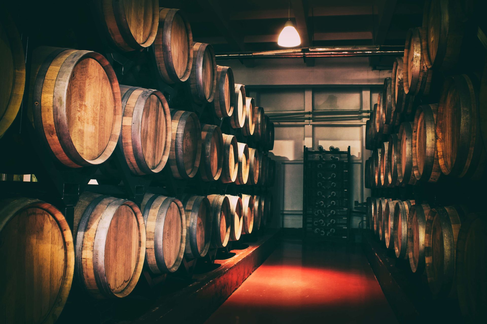 A row of wooden barrels stacked on top of each other in a wine cellar.