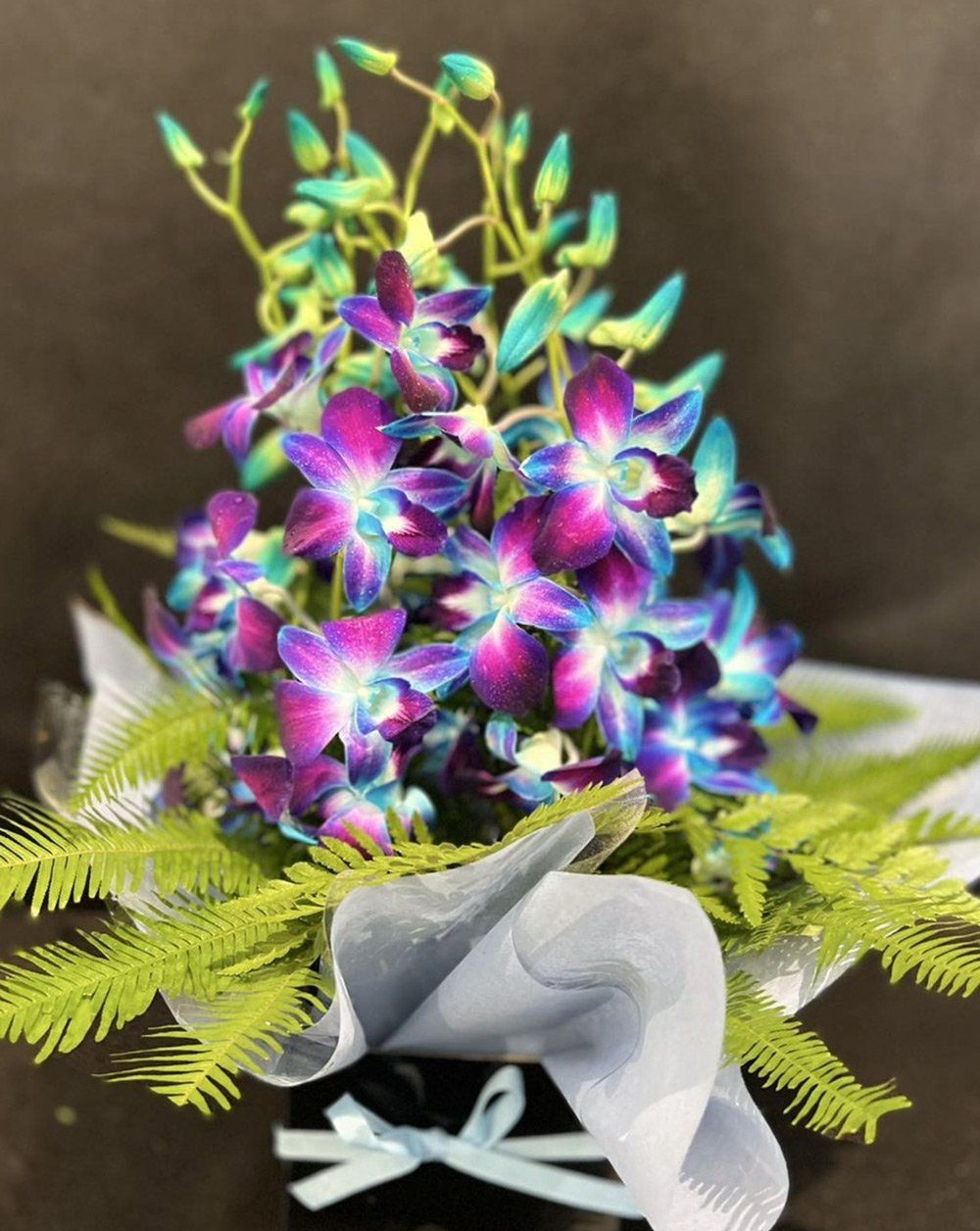 Violet Gradient Flower Closed Up — J'adore Flowers & Gifts Cairns In Earlville, QLD