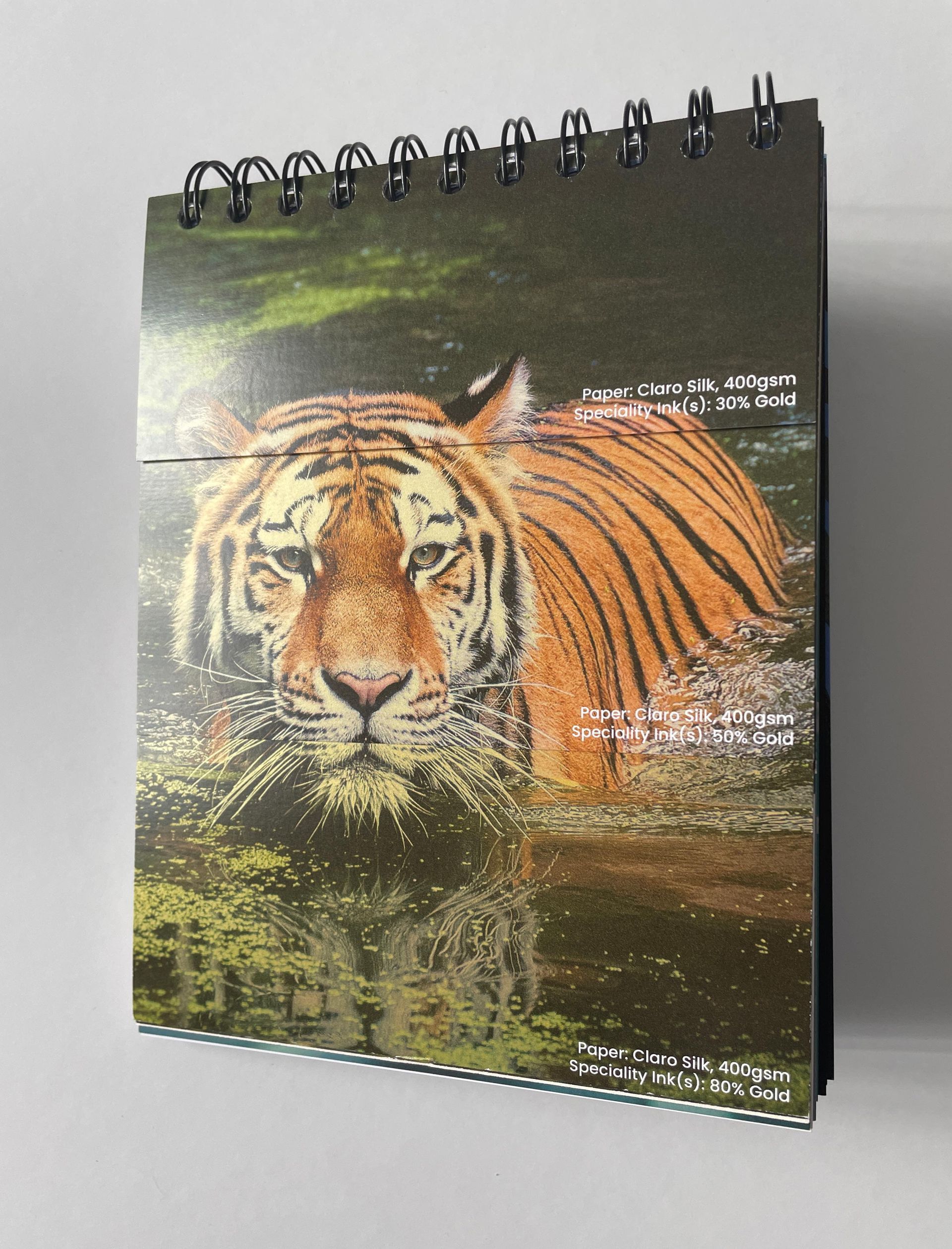Tiger in water, looking forward. Orange and black stripes, green foliage, notebook format.