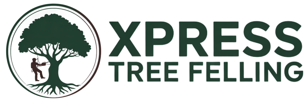 The logo for xpress tree felling shows a man climbing a tree.