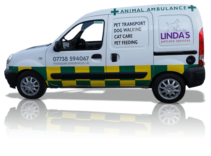 Pet Care & Assistance in Swindon | Linda's Pet Care Services