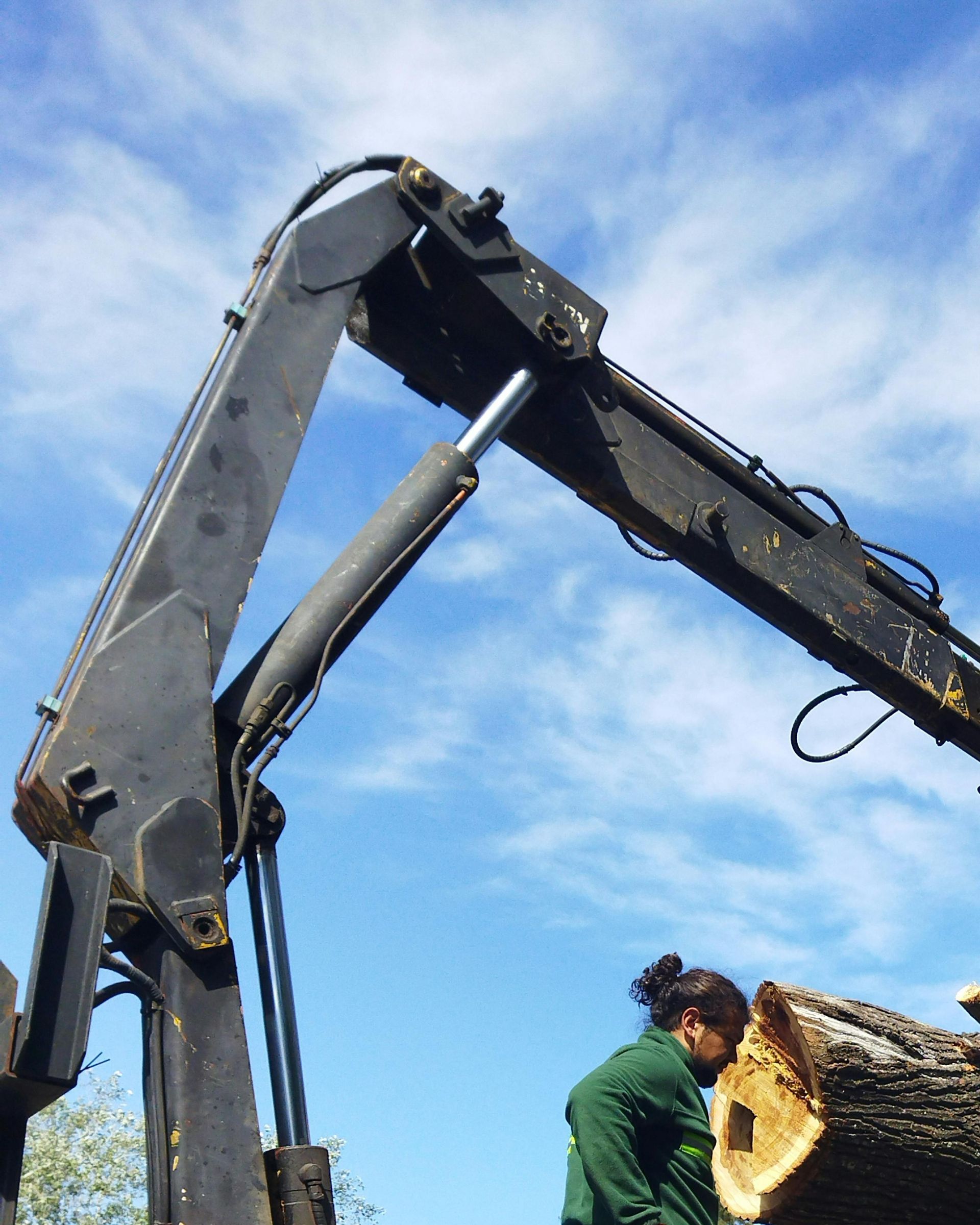 tree-service-oxnard-california