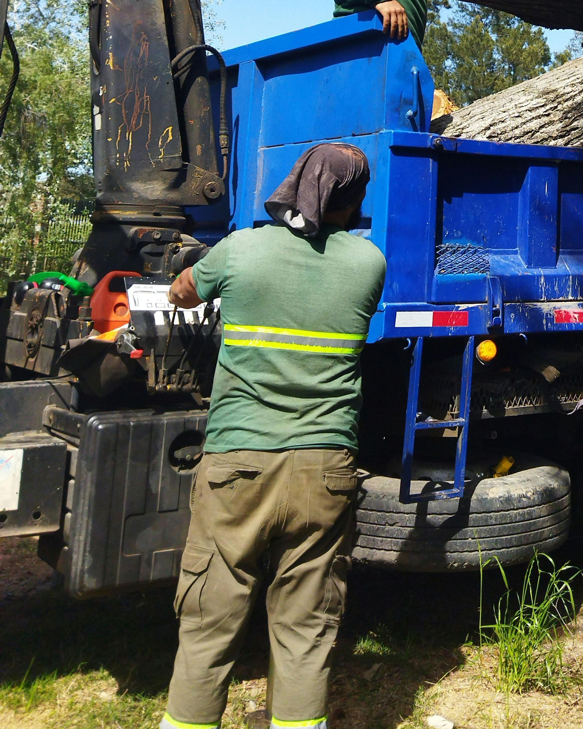 tree-service-oxnard-california