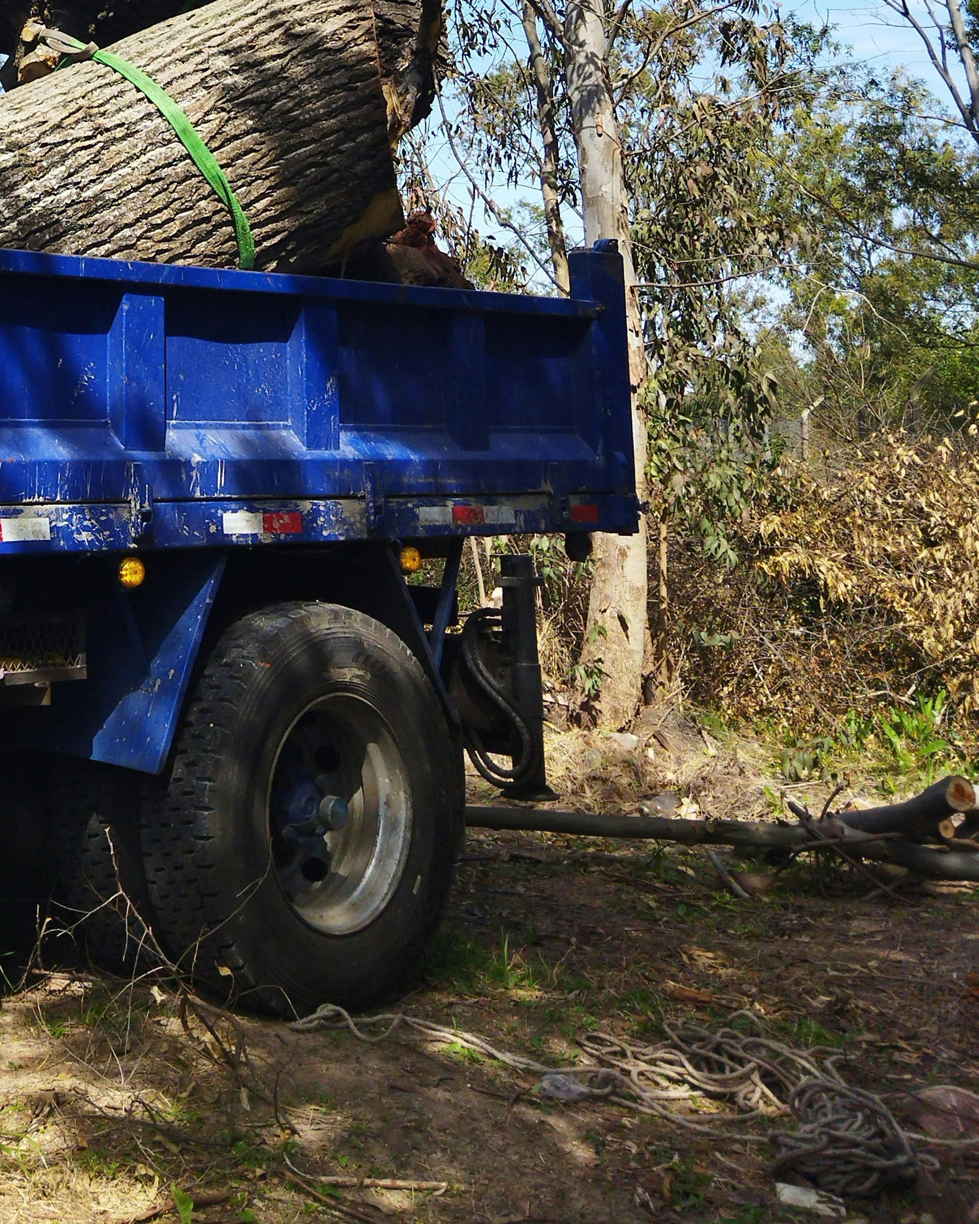 tree-service-oxnard-california