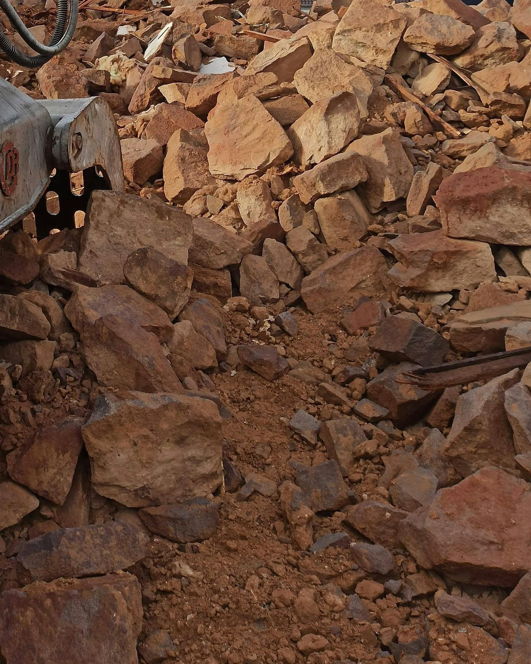 tree-service-oxnard-california