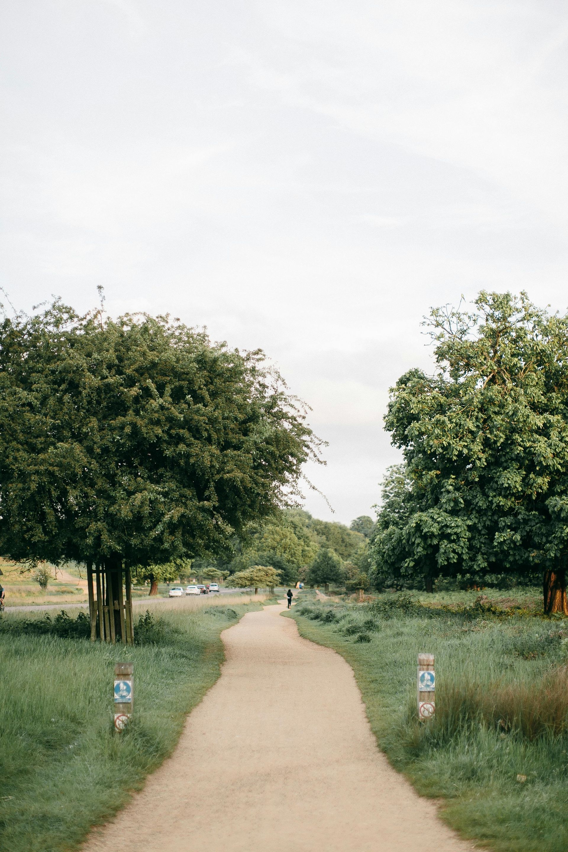 tree-service-oxnard-california