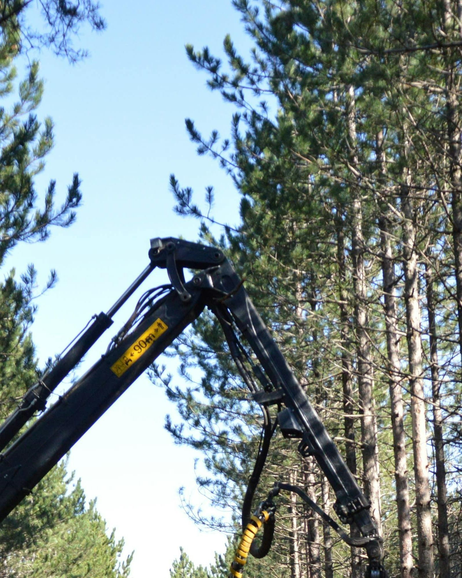 tree-service-oxnard-california