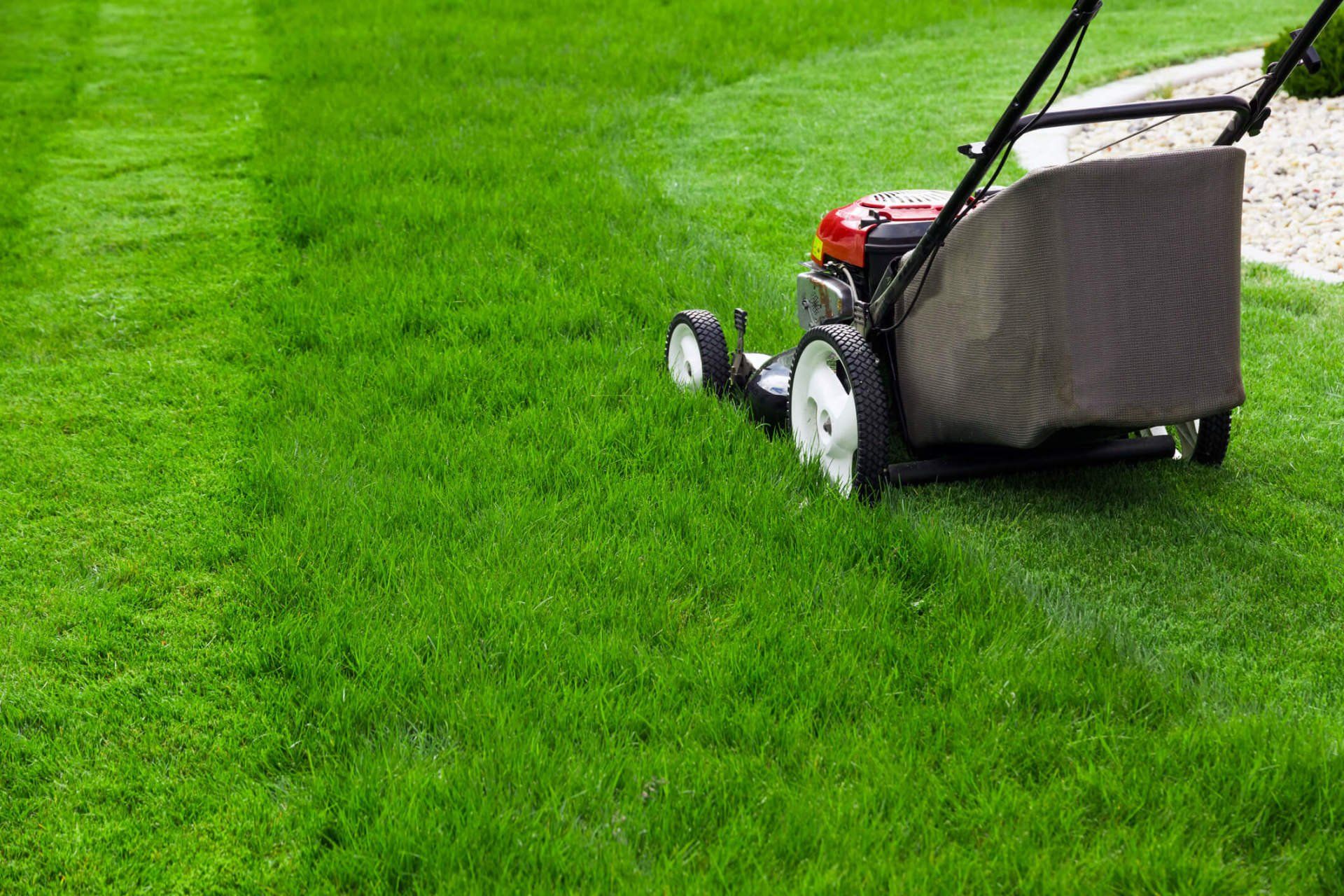 Lawn Mowing — BoShann's Lawn Service in Harrisonville, MO