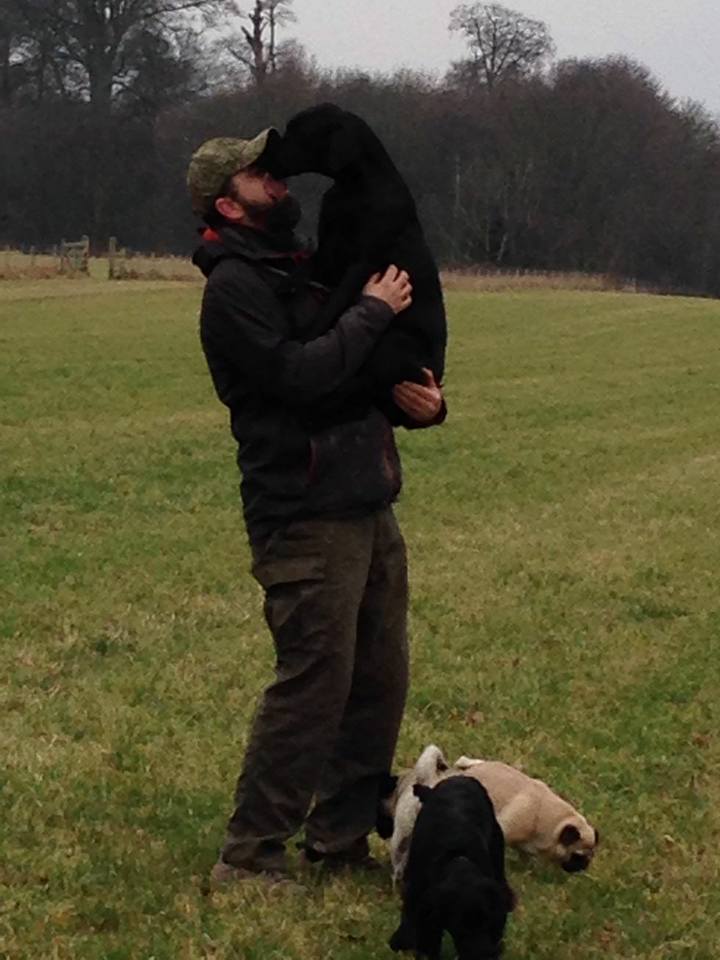 Dog Walking Wakefield, West Yorkshire: Chris Beech Dog Training & Walking Service