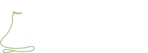 Dog Walkers Wakefield, West Yorkshire: Chris Beech Dog Training & Walking Service