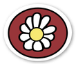 A white flower with a yellow center is in a red circle.