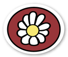 A white flower with a yellow center is in a red circle.