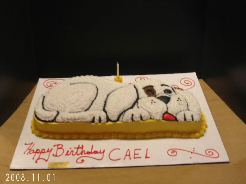 Dog-shaped birthday cake with 