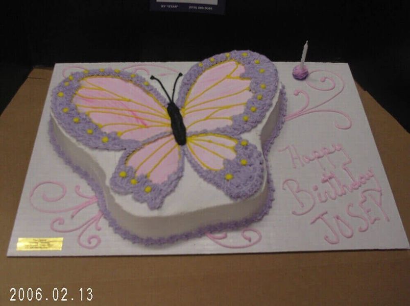 Butterfly-shaped cake with pink and purple frosting, Happy Birthday written on the side, and a lit candle.