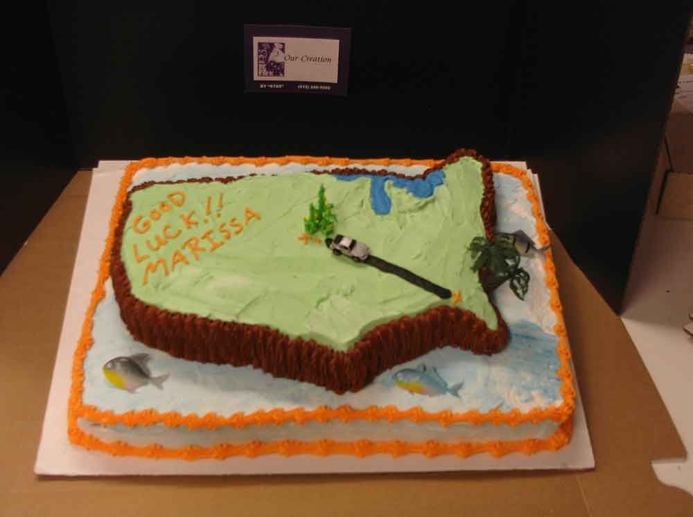 Cake shaped like the US map, green frosting with brown edges, 