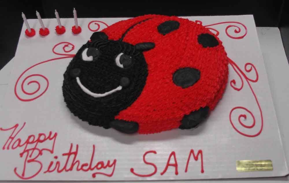 Ladybug cake with red and black frosting, 