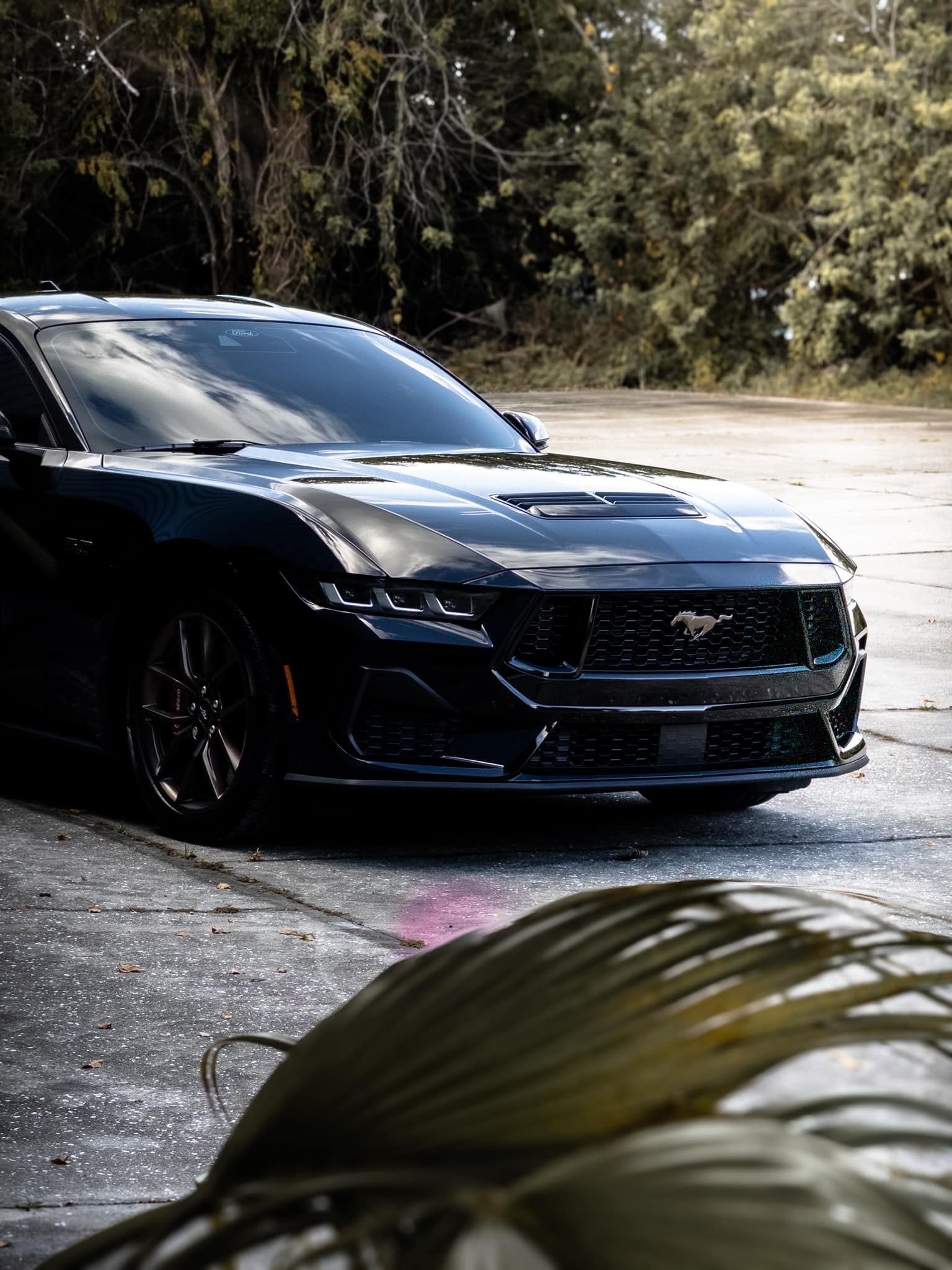 2024 Ford Mustang