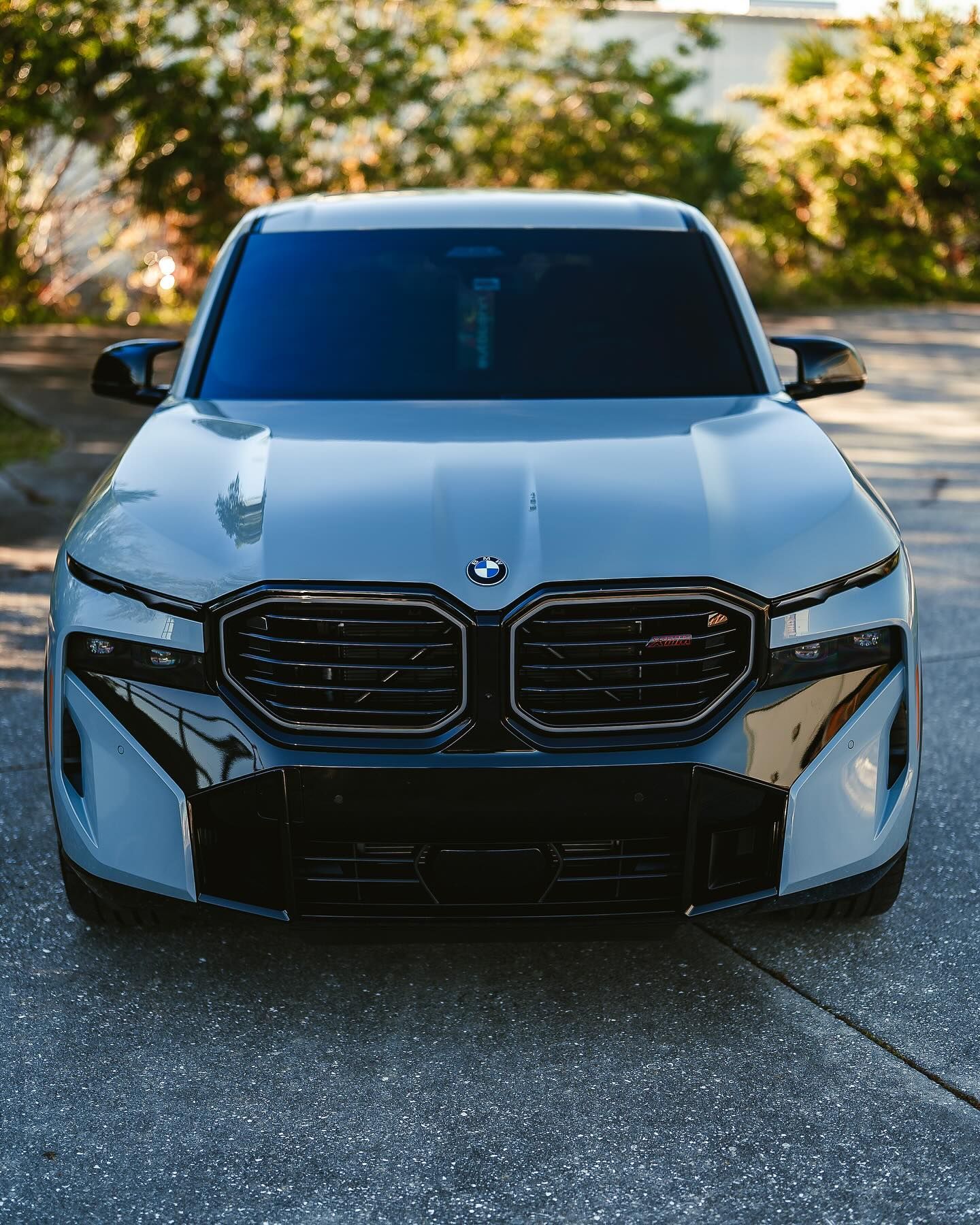 2025 BMW XM