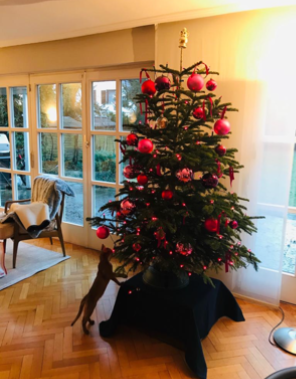 Weihnachten