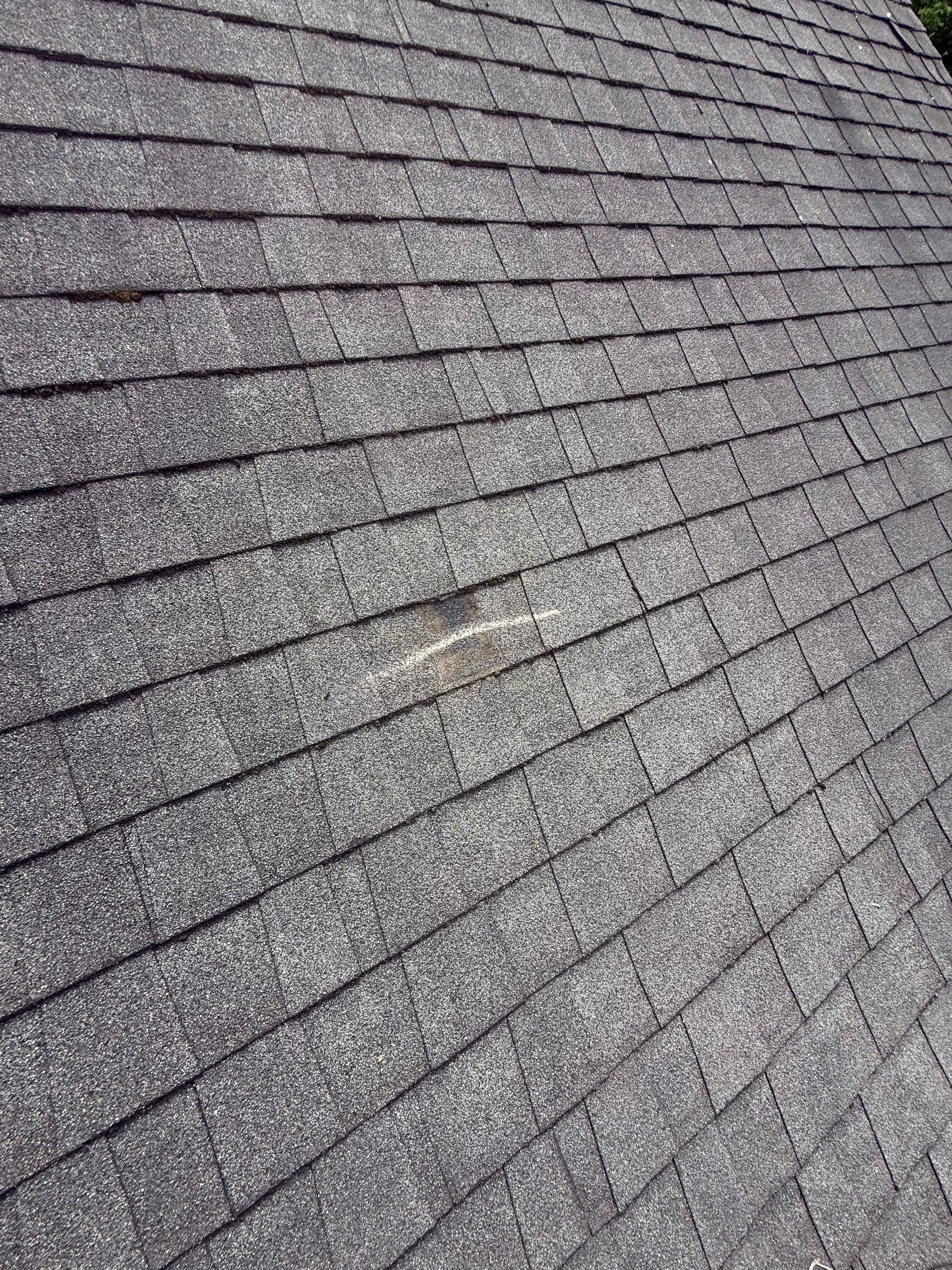 Damaged Roof Repair