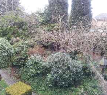 guest house example 7