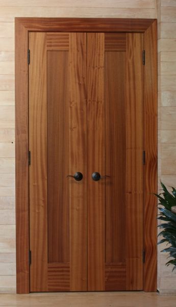 A wooden door with a plant in the background
