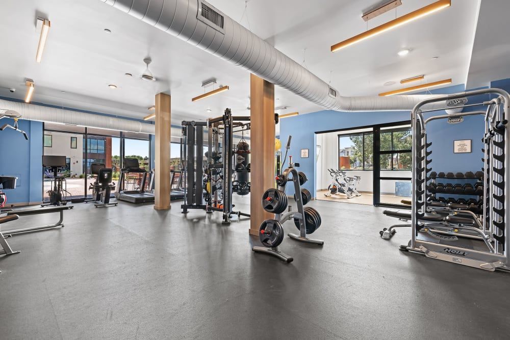 Spacious modern gym interior with a variety of exercise equipment, including treadmills, weight machines, and free weights, illuminated by natural light from large windows at Marq Iliff Station in Aurora, CO.