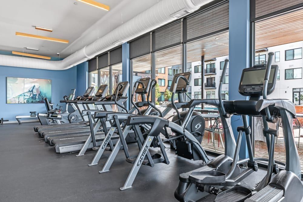 Modern gym interior with rows of treadmills and elliptical exercise machines in a well-lit room with large windows, a blue painted wall, air ducts running along the ceiling, and a large digital screen displaying colorful art at Marq Iliff Station in Aurora, CO.
