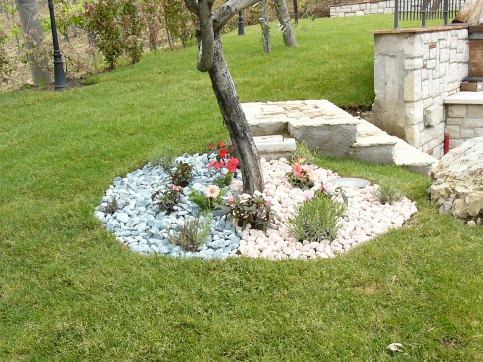 Un albero è circondato da rocce e fiori in un giardino