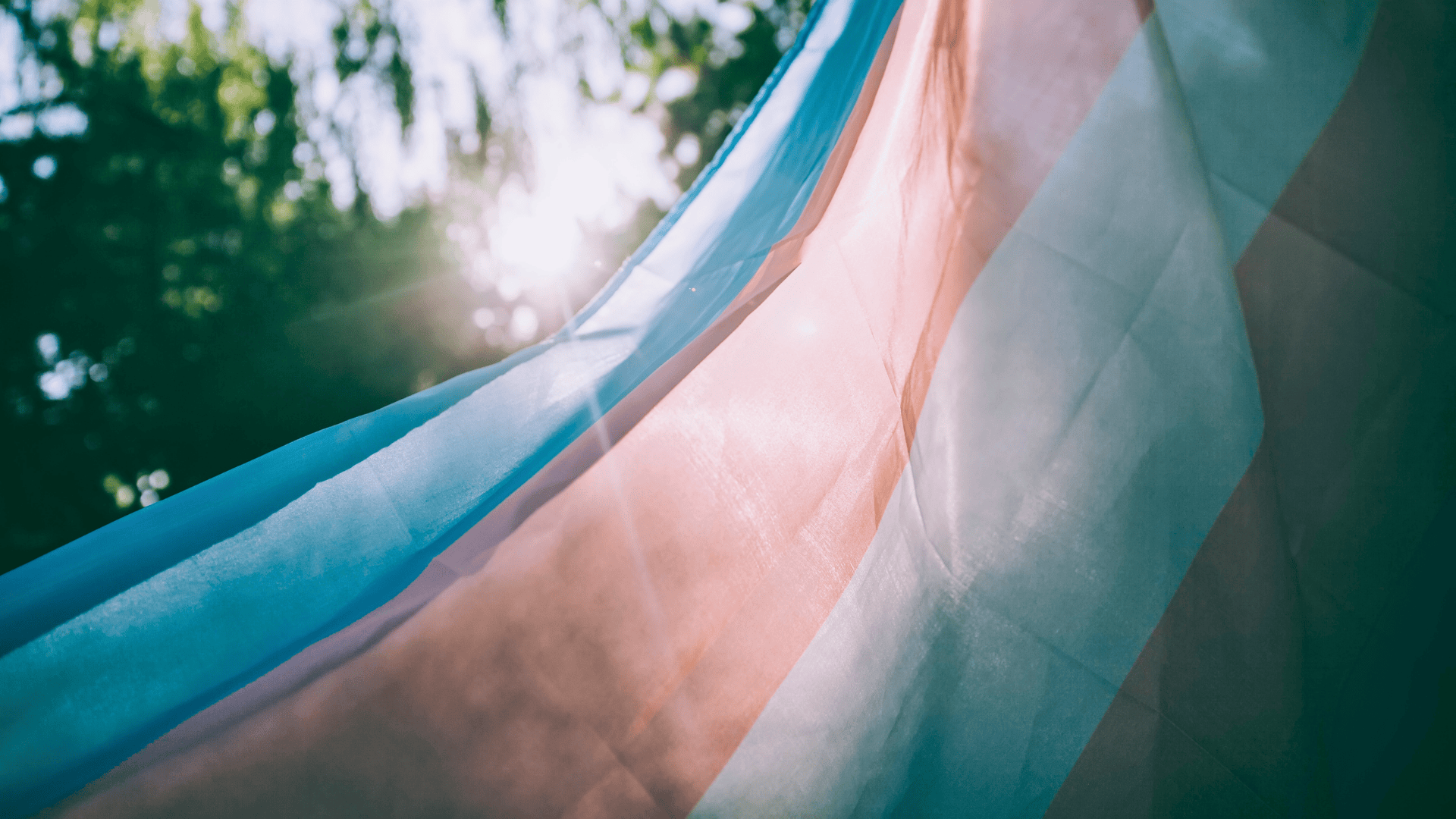 A trans flag with the sun in the background