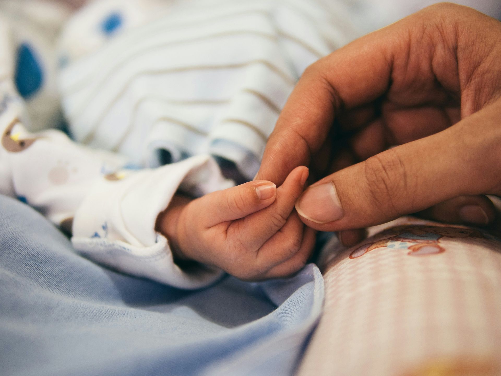 An adult hand holds a tiny baby's hand.