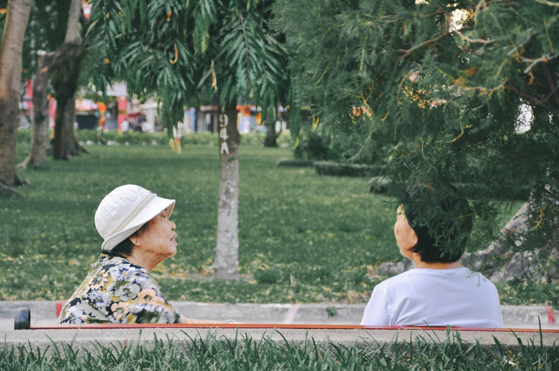 Two elderly women sitting in a park.