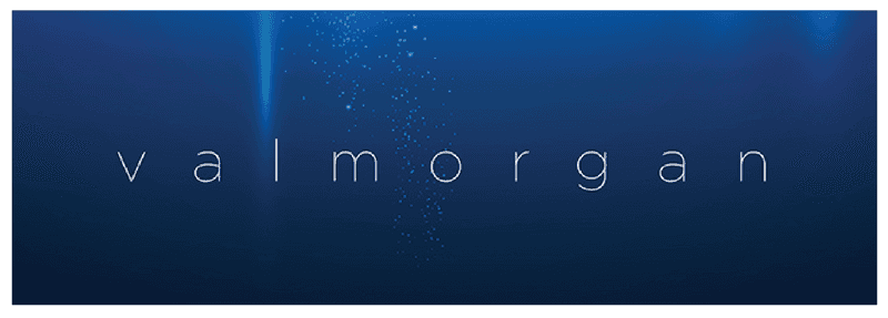 Val Morgan logo with website link
