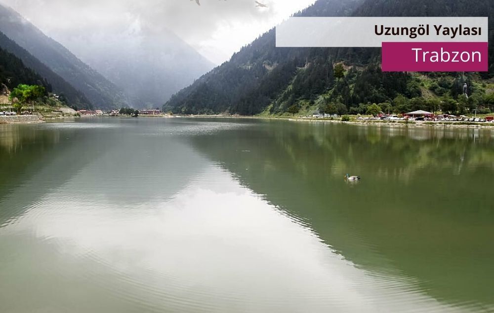 Uzungöl Yaylası, Uzungöl Yaylası Trabzon, Trabzon gezilecek yerler Uzungöl Yaylası