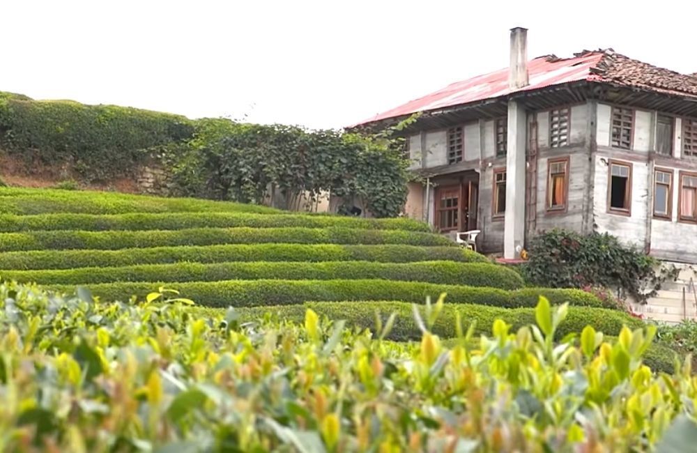 çeçeva turu, çeçeva haremtepe turu, günübirlik çeçeva turu, trabzon çıkışlı günübirlik çeçeva turu