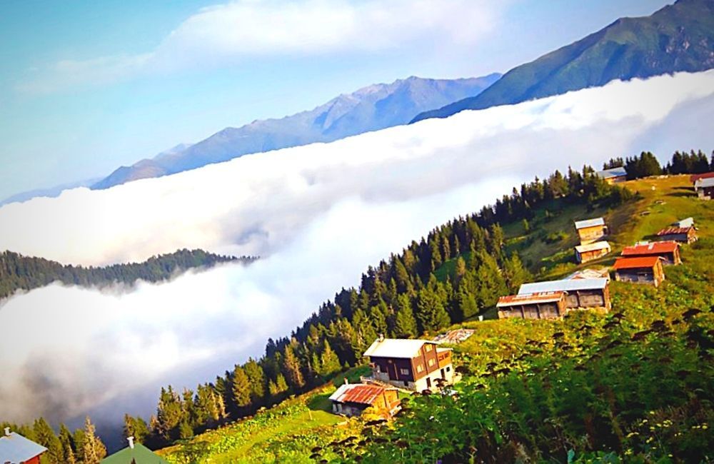 pokut turu, pokut yaylası turu, günübirlik pokut yaylası turu, pokut yaylası günübirlik turlar, pokut yaylası turlar
