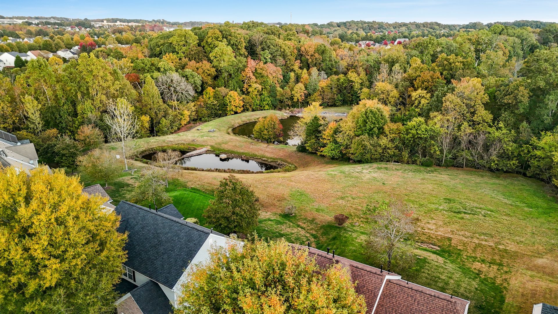 Houses bordering a field with a pond, surrounded by trees with autumn foliage, under a blue sky.