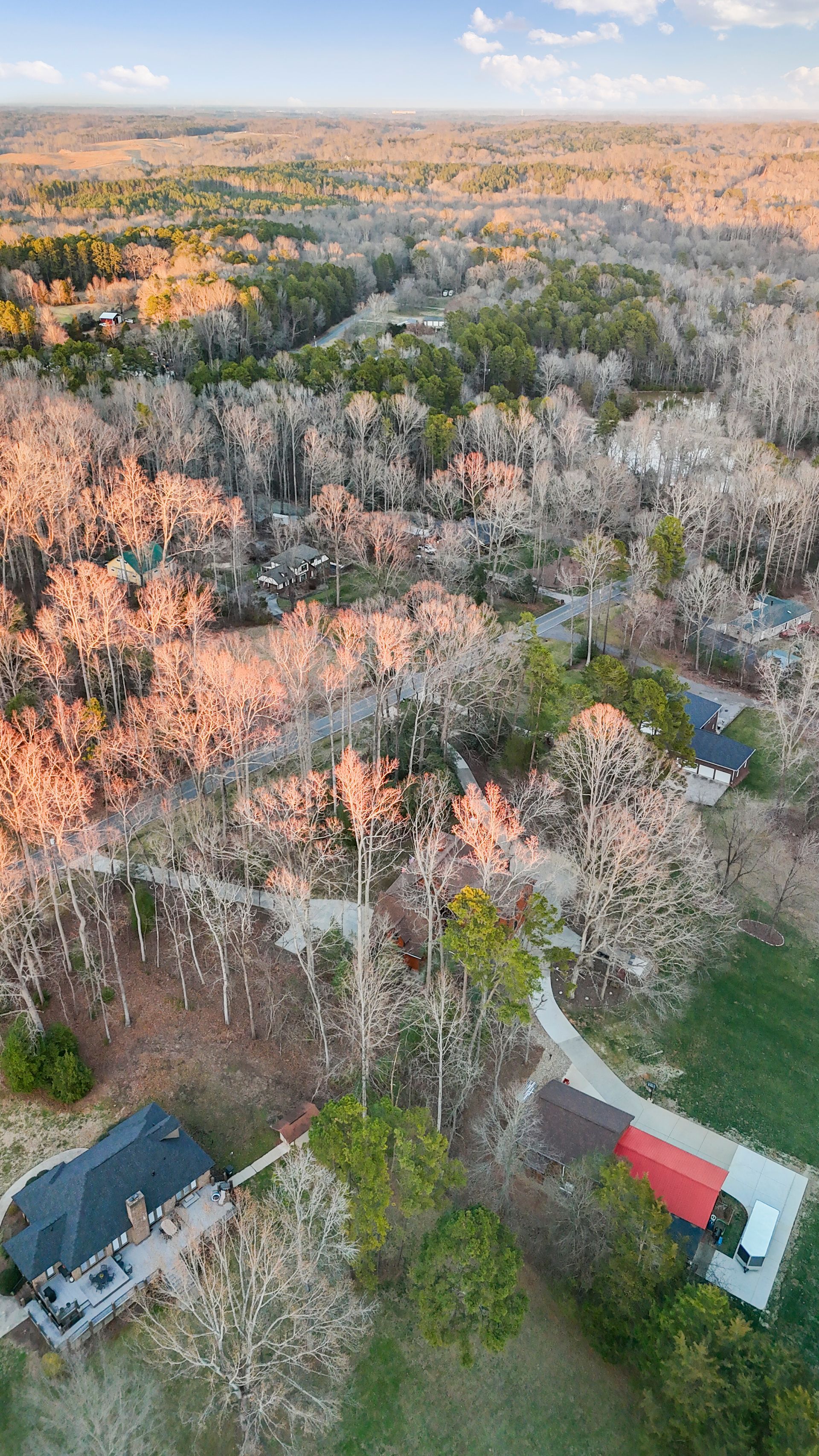 Aerial view of a suburban neighborhood, trees, houses, and winding road, lit by soft sunlight.