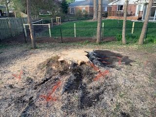 A tree stump in the middle of a yard next to a house.