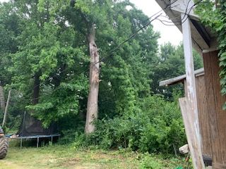 A tractor is driving through a yard with trees and a trampoline.