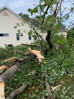 A tree that has fallen in front of a house.