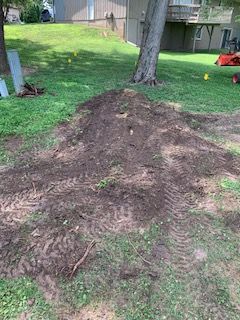 Tree stump removed.