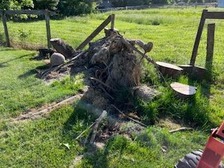 A large tree stump is sitting in the middle of a grassy field.