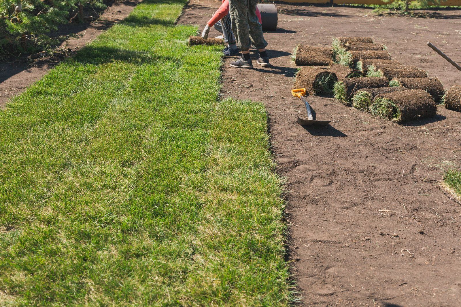 Person laying sod beside a garden bed, with rolled turf and tools on a dirt path