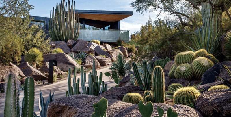 Desert landscape with a modern home in the background, featuring various cacti and rock formations, bathed in sunlight.