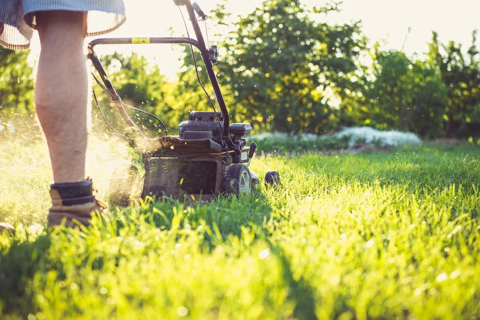 Person mowing a sunlit lawn with a push mower in a grassy yard