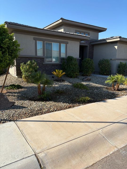 A winding path through a cactus garden with various cacti set in white gravel.